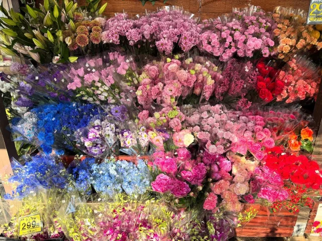 ベルフラワー('11米) y-hanabishi_hnb-vr23112